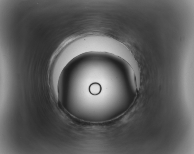 X0000083980244200703091830