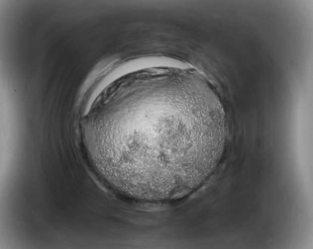 X0000083980245200703091830