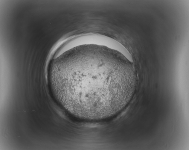 X0000083980246200703091830