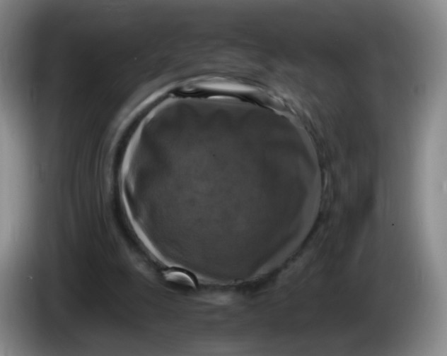 X0000083980247200703091830