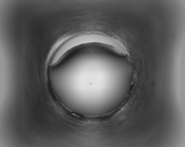 X0000083980248200703091830