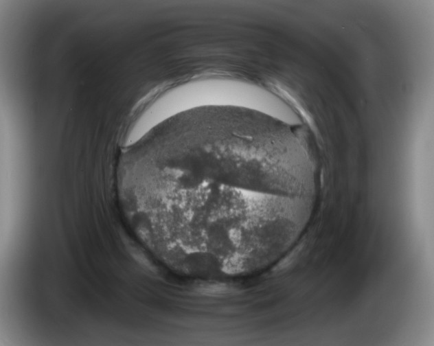 X0000083980249200703091830