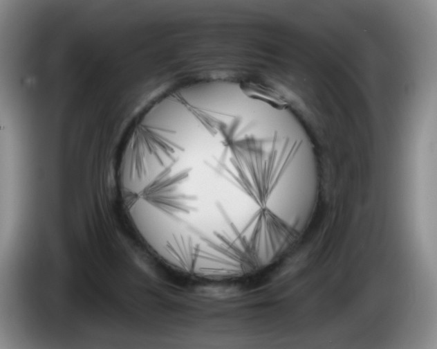 X0000083980251200703091830