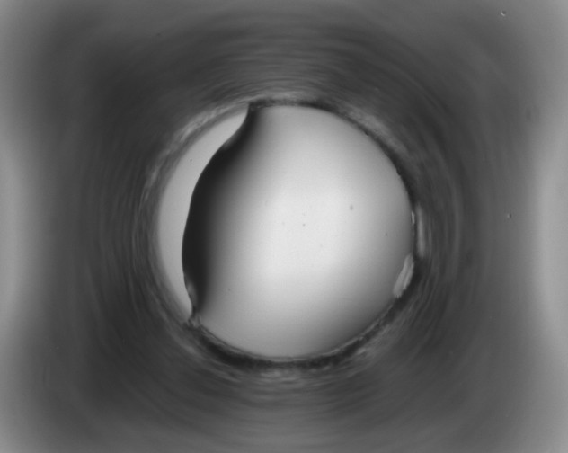 X0000083980252200703091830