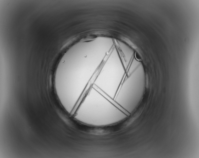 X0000083980253200703091830