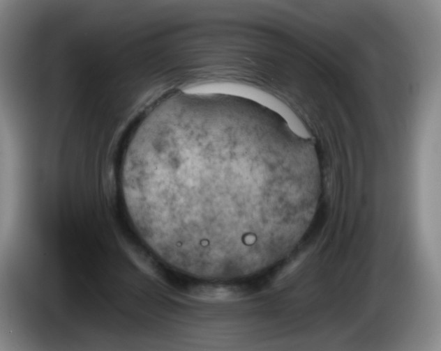 X0000083980254200703091830