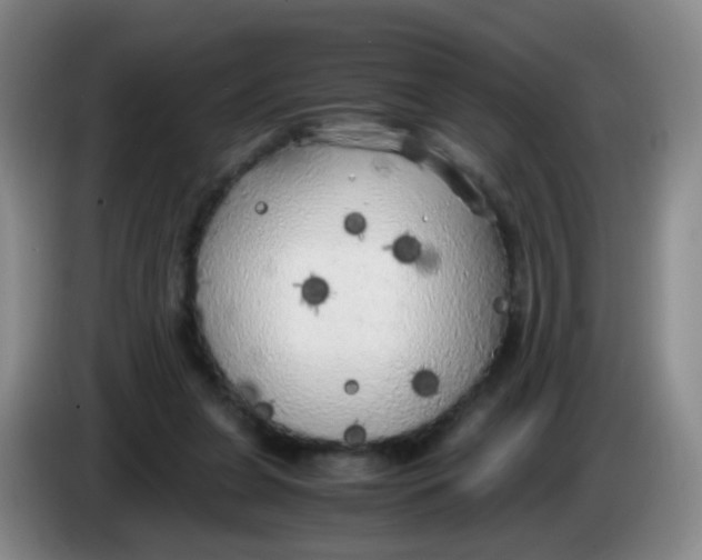 X0000083980255200703091830