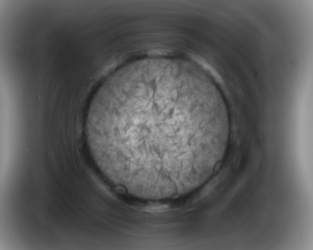 X0000083980257200703091830