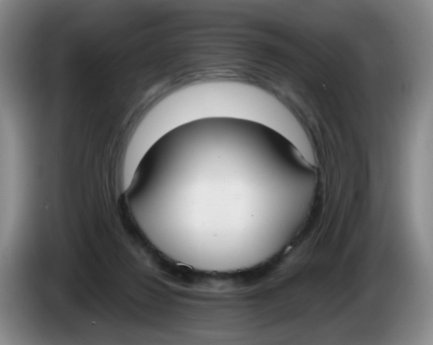 X0000083980260200703091830