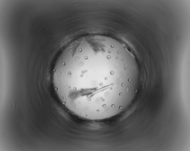 X0000083980261200703091830