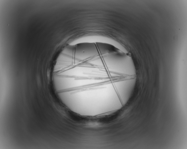 X0000083980262200703091830