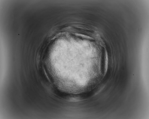 X0000083980263200703091830