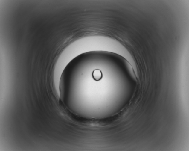 X0000083980264200703091830