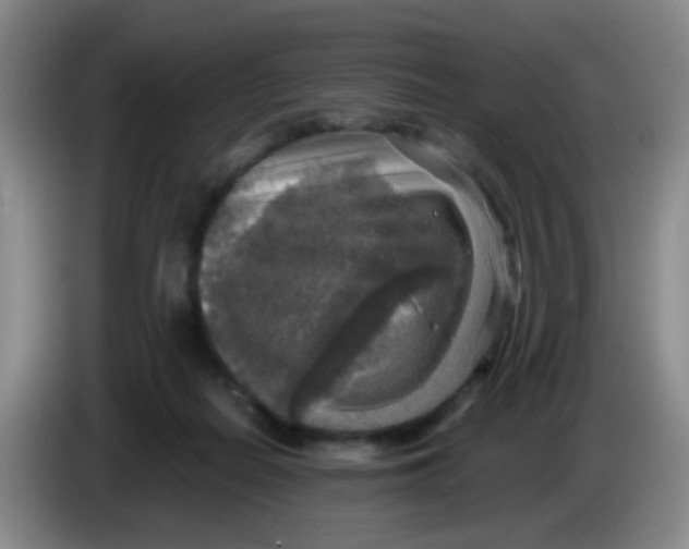 X0000083980266200703091830