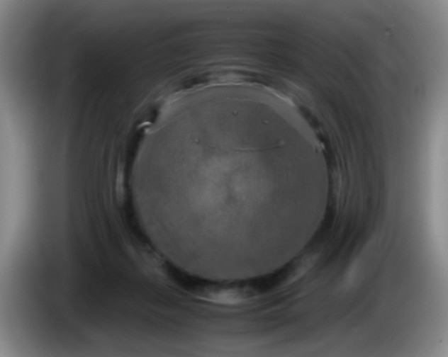 X0000083980267200703091830