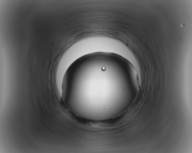 X0000083980268200703091830