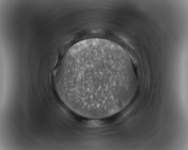 X0000083980269200703091830