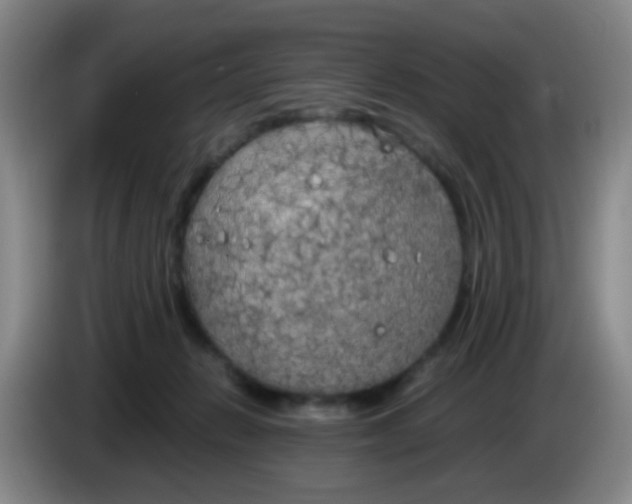 X0000083980270200703091830