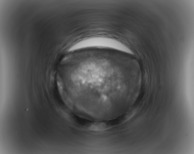 X0000083980271200703091830