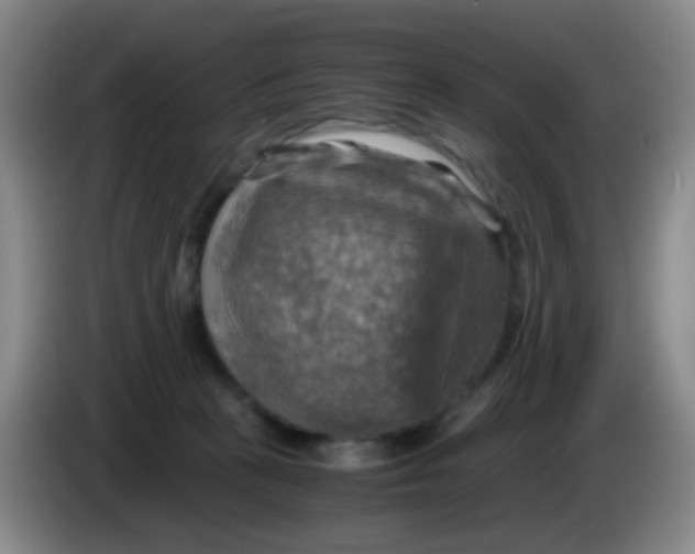 X0000083980273200703091830