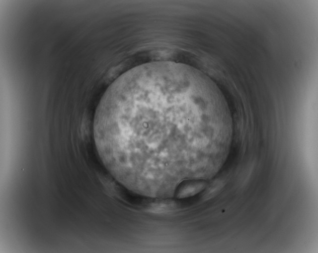 X0000083980274200703091830