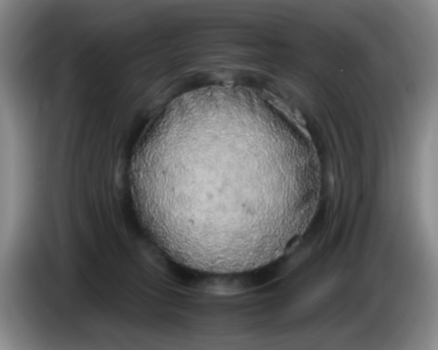 X0000083980275200703091830