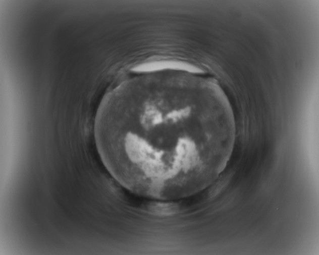 X0000083980277200703091830