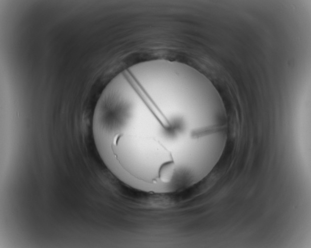 X0000083980279200703091830