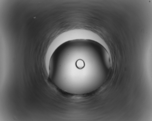 X0000083980280200703091830