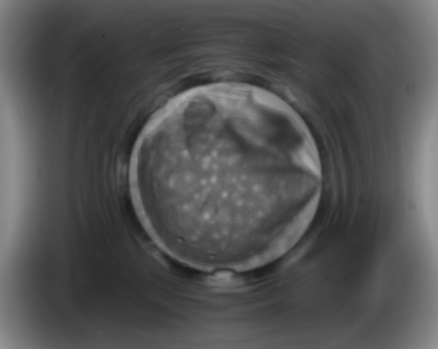 X0000083980281200703091830