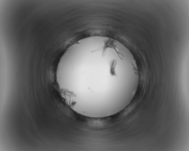 X0000083980282200703091830