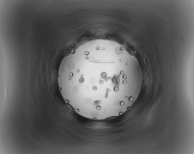 X0000083980283200703091830