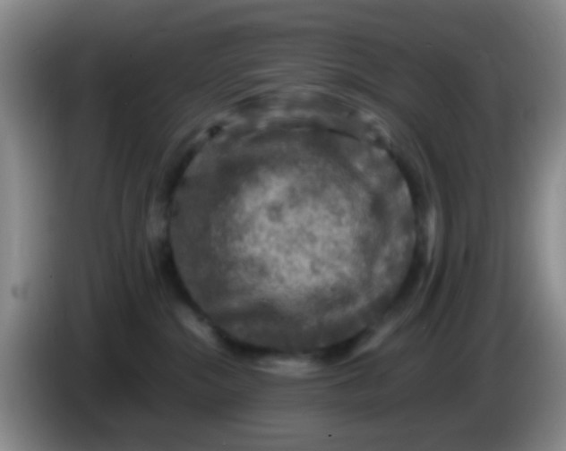 X0000083980284200703091830