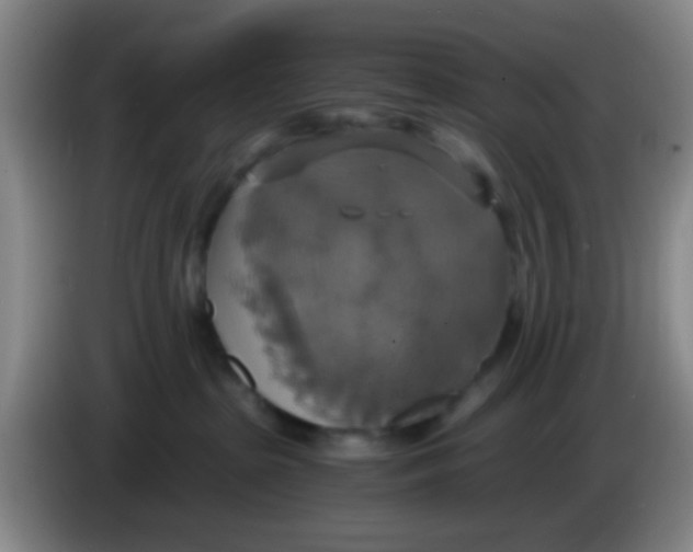 X0000083980285200703091830