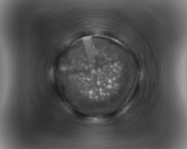 X0000083980286200703091830