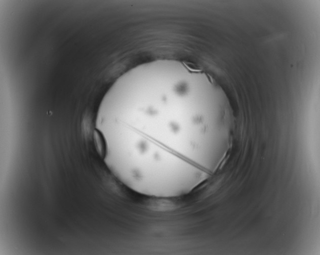 X0000083980287200703091830