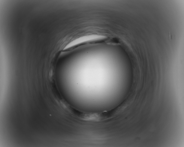 X0000083980288200703091830