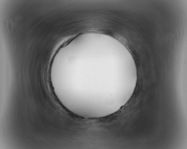 X0000083980289200703091830