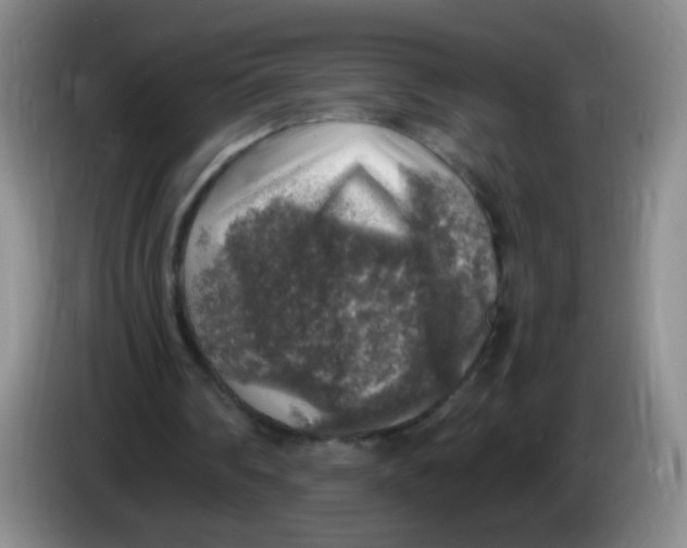 X0000083980290200703091830