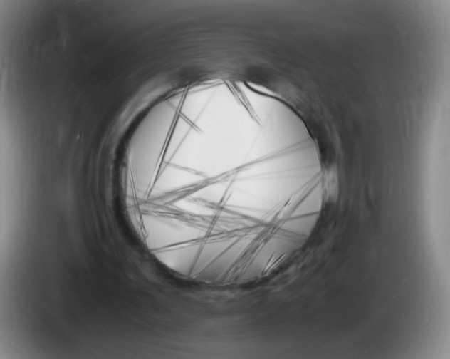 X0000083980291200703091830