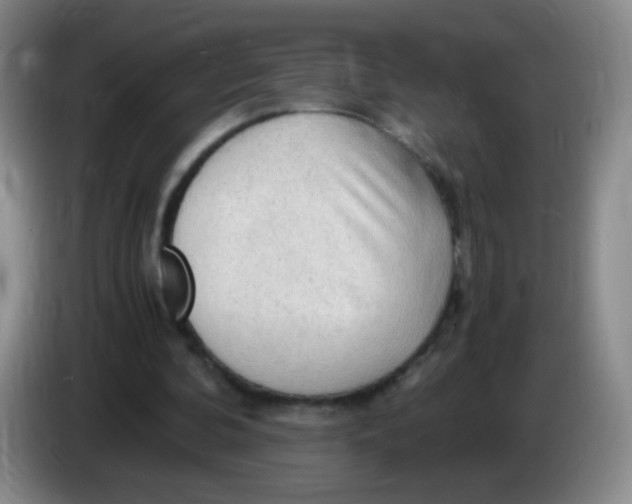 X0000083980292200703091830