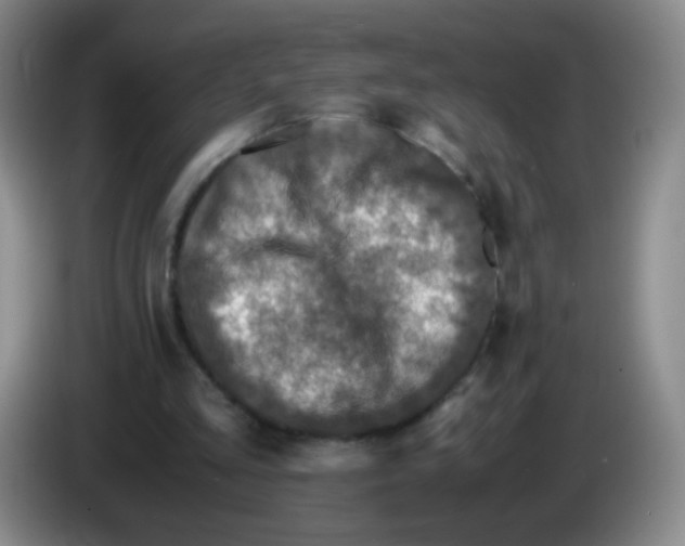 X0000083980293200703091830