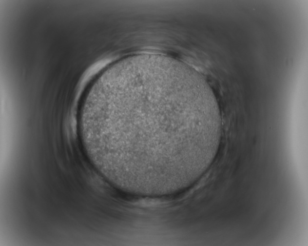 X0000083980294200703091830