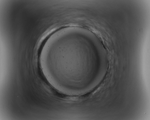 X0000083980295200703091830