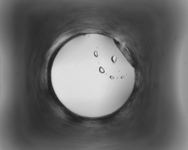 X0000083980296200703091830