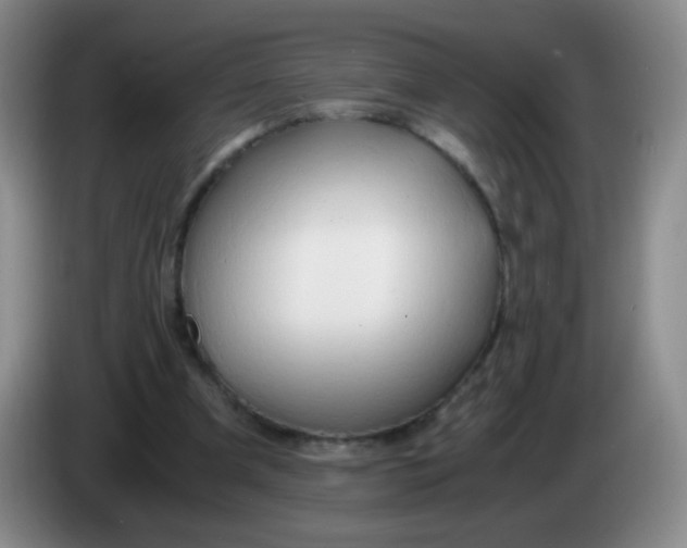 X0000083980297200703091830