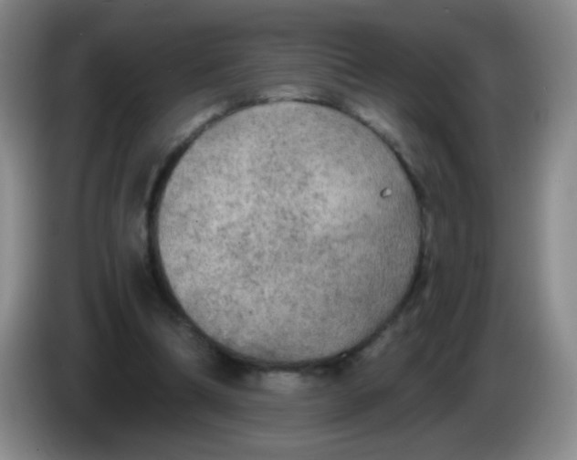 X0000083980298200703091830