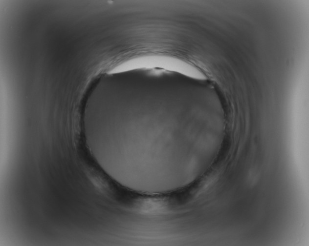 X0000083980303200703091830