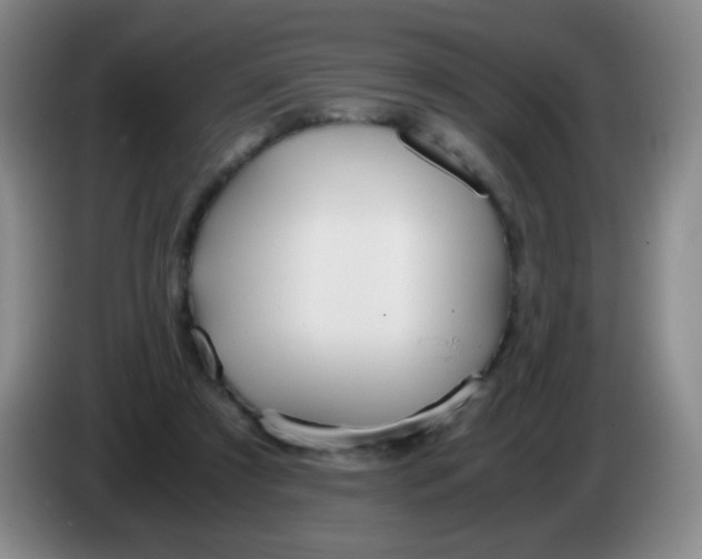 X0000083980305200703091829