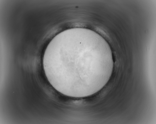 X0000083980306200703091829